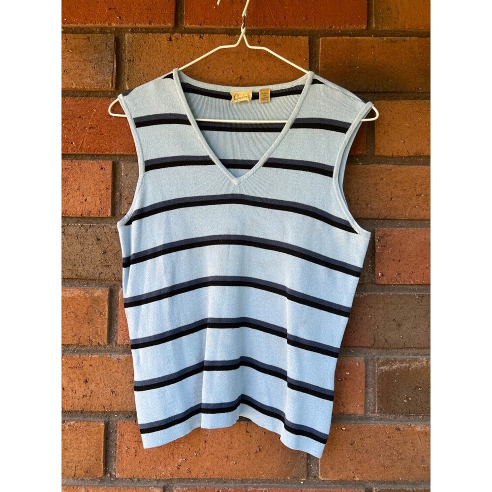 Caslon Sleeveless Stripe Top V-Neck Blouse | Blue Navy | Women's Medium‎ Petite
